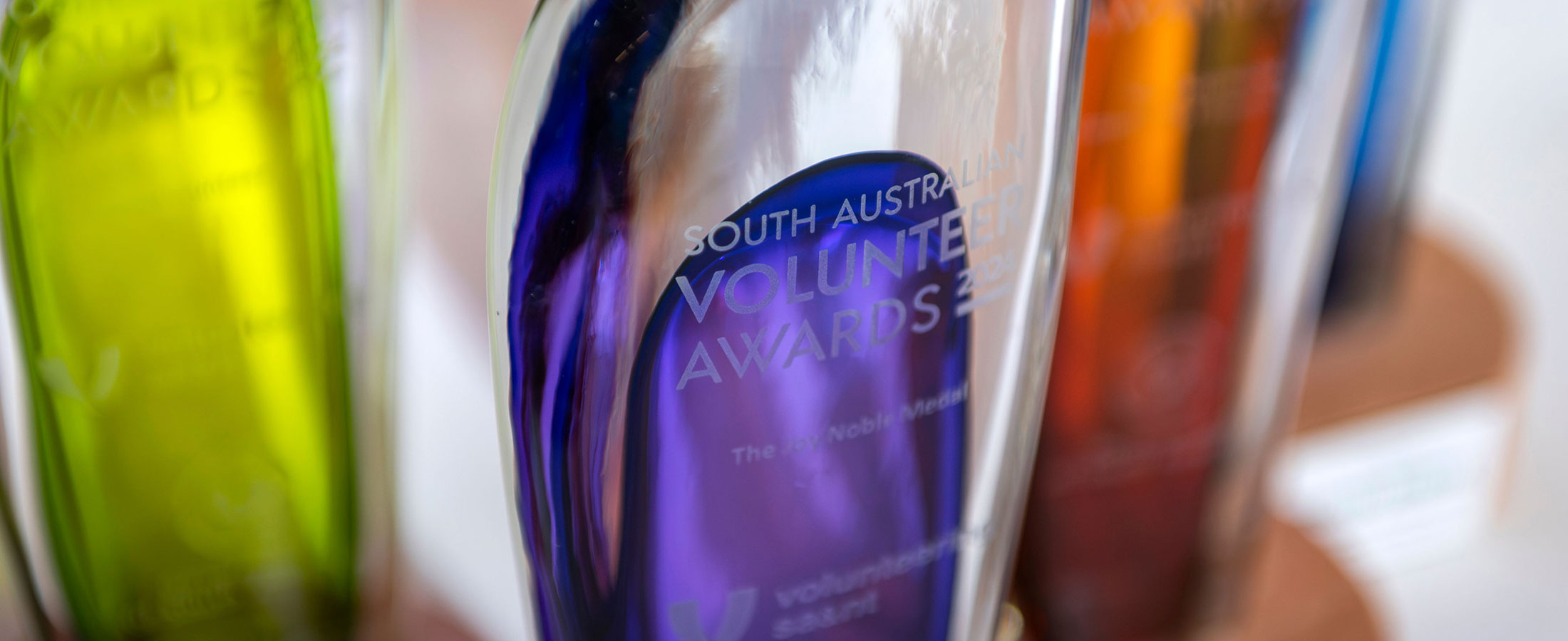 South Australian Volunteer Awards - 20 years!